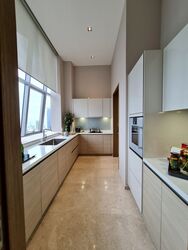 V On Shenton (D1), Apartment #331279801
